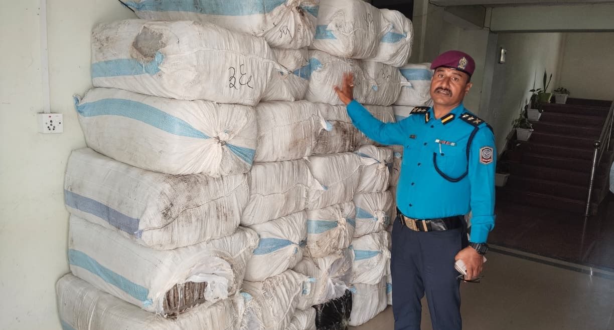 इलाममा पन्ध्रसय किलो गाँजा बरामद