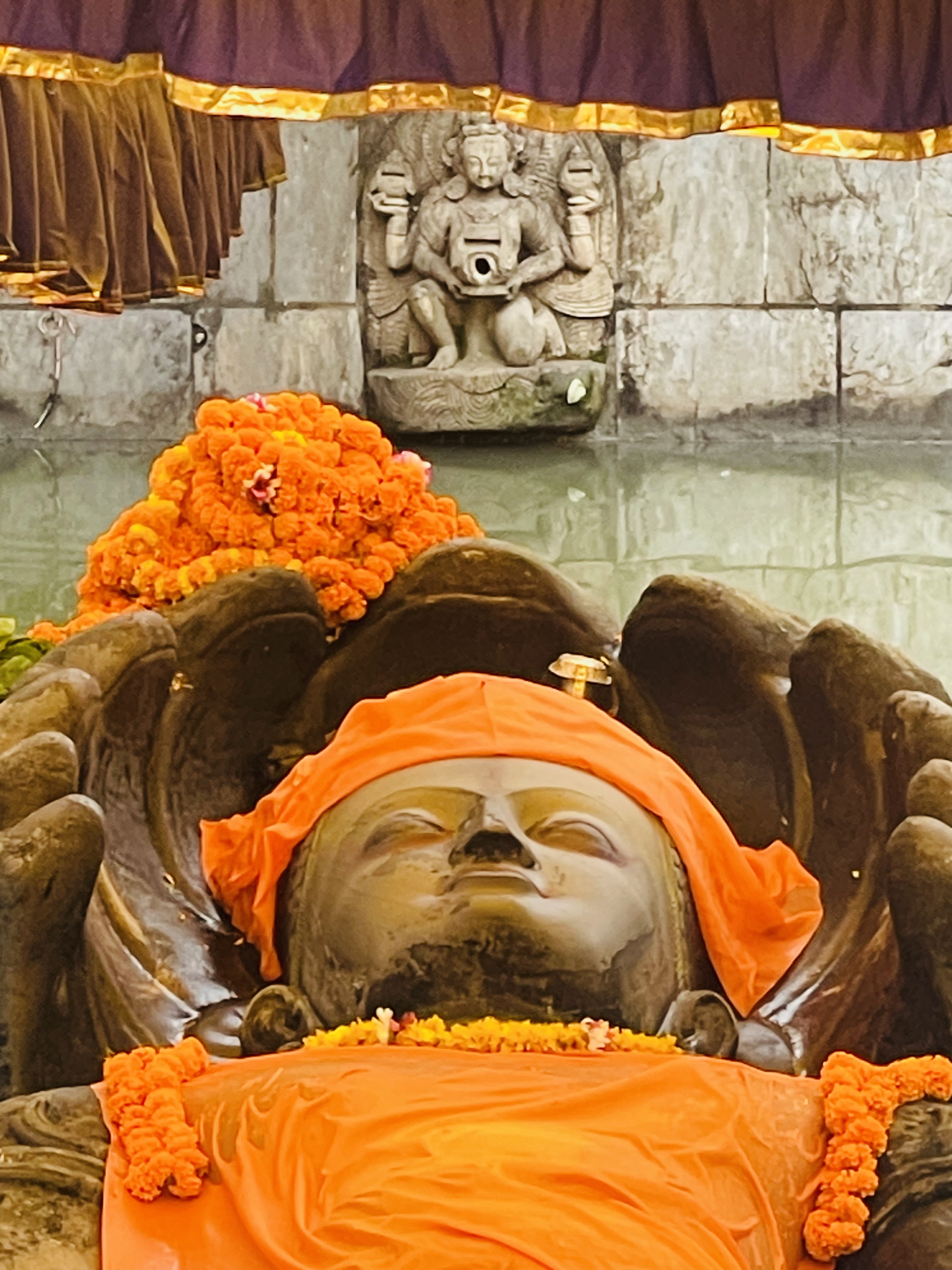 आज हरिशयनी एकादशी, घरघरमा तुलसीको बिरुवा सारिँदै