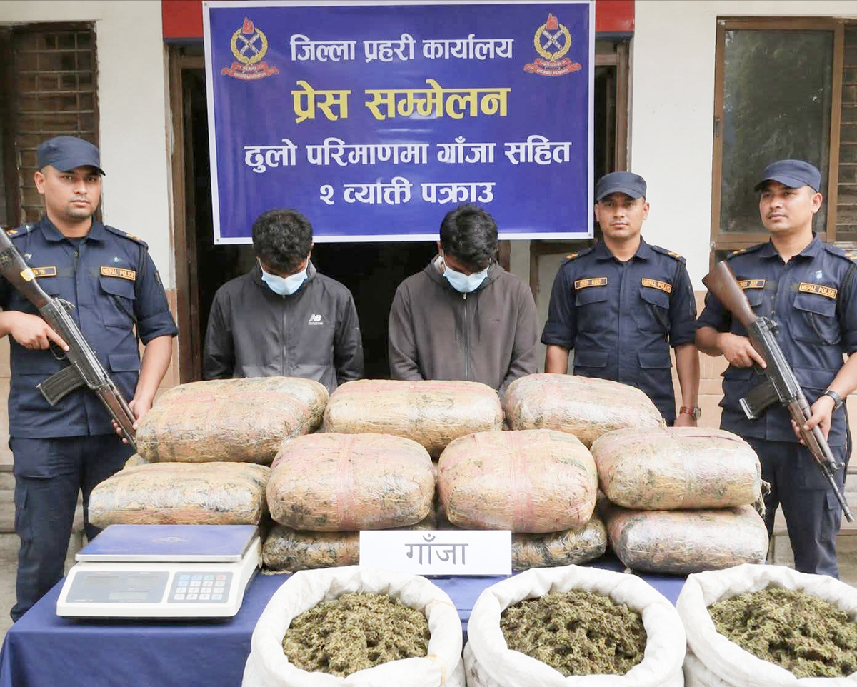 सप्तरीमा १४१ किलो गाँजासहित दुई जना पक्राउ