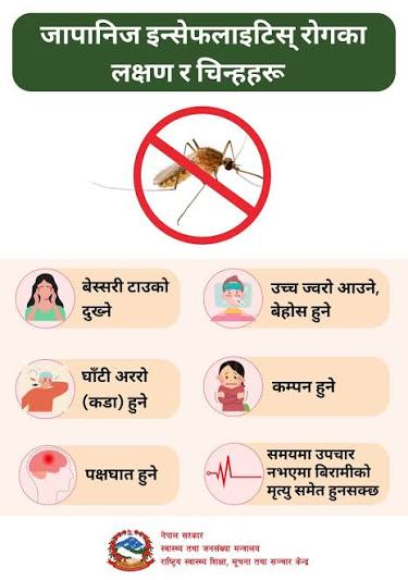 जापानिज इन्सेफलाइटिसको जोखिम बढ्दो, सतर्क रहन अनुरोध