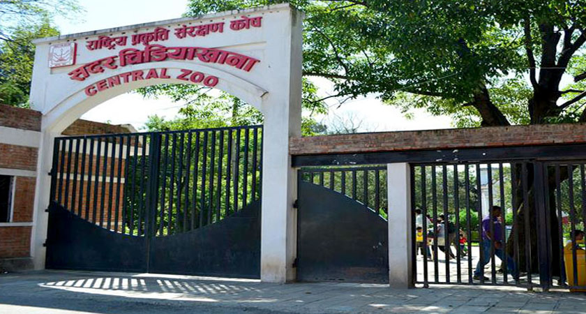 बर्डफ्लु सङ्क्रमणपछि जावलाखेल चिडियाखाना दुई साताका लागि बन्द